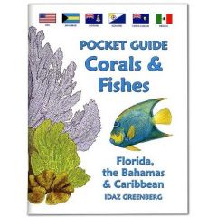 Pocket Guide to Corals & Fishes