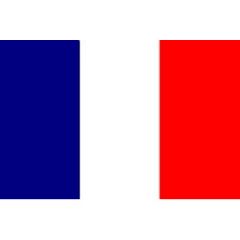 French Flag 20 cm x 30 cm